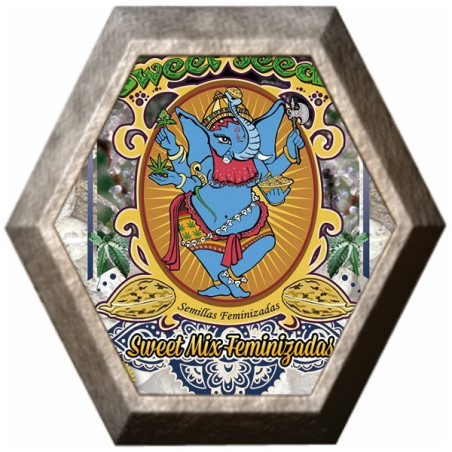 Sweet Mix Feminizadas 10 semillas Sweet Seeds SWEET SEEDS SWEET SEEDS