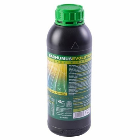 Bachumus Evolution C 1lt Trabe TRABE TRABE