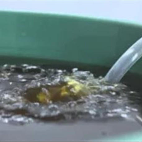 Fórmula Granja Para 200lt GUANO Y HUMUS