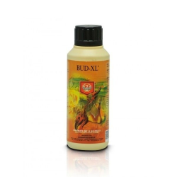 Bud XL 250ml House&Garden HOUSE & GARDEN HOUSE&GARDEN