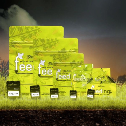 Powder Feeding GROW 10gr x 50 sobres Green House GREEN HOUSE SEEDS GREEN HOUSE