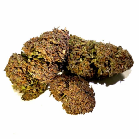 Flores CBD Black Mamba 1gr Sweed Dreams Flores CBD