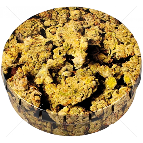 Caja Click Clack cogollo (5,5cm) OTROS