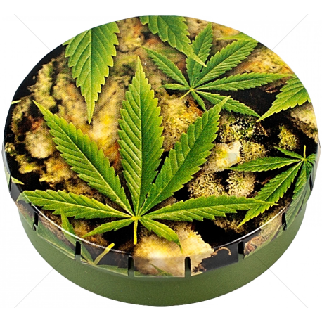 Caja Click Clack cogollo + hoja (5,5cm) OTROS