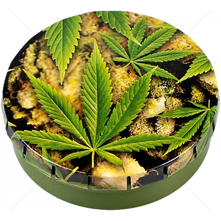 Caja Click Clack cogollo + hoja (5,5cm) OTROS