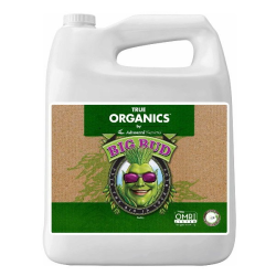 OG Organics Big Bud 20l Advanced Nutrients ADVANCED NUTRIENTS ADVANCED NUTRIENTS