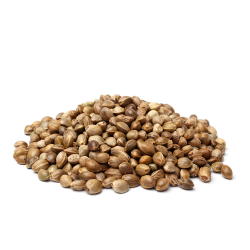 WATERMELON a granel ( 60% indica 40% sativa 22% THC ) Inicio