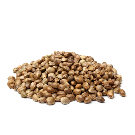 MINOSA EVO a granel ( 60% indica 40% sativa +30% THC ) Inicio