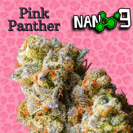 Flores NANO 9 78% Pink Panter 10gr Cannabis Innovation Flores CBD