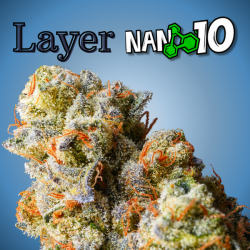 Flores NANO 10 al 75% Layer 2gr Cannabis Innovation Flores CBD