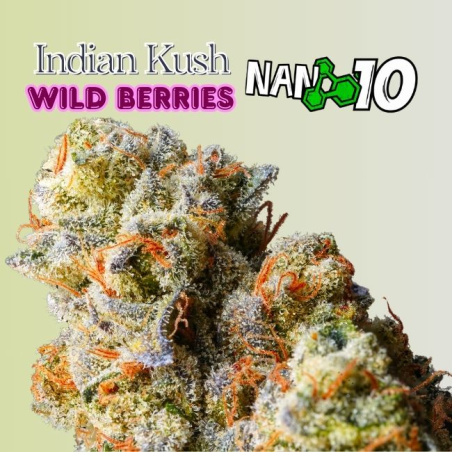 Flores NANO 10 al 55% Indian Kush 2gr Cannabis Innovation Flores CBD