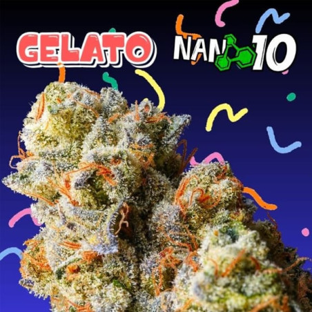 Flores CBD + Nano 10 Gelato al 65% 10gr Cannabis Innovation