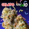 Flores CBD + Nano 10 Gelato al 65% 10gr Cannabis Innovation