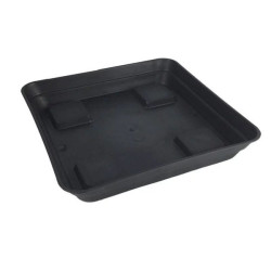 Plato cuadrado negro con alzada 21.5cm 1ud