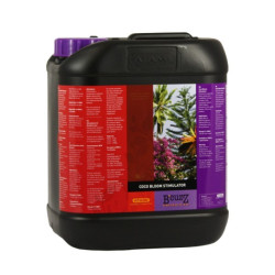 Coco Bloom Stimulator 5lt Bcuzz BCUZZ B´CUZZ
