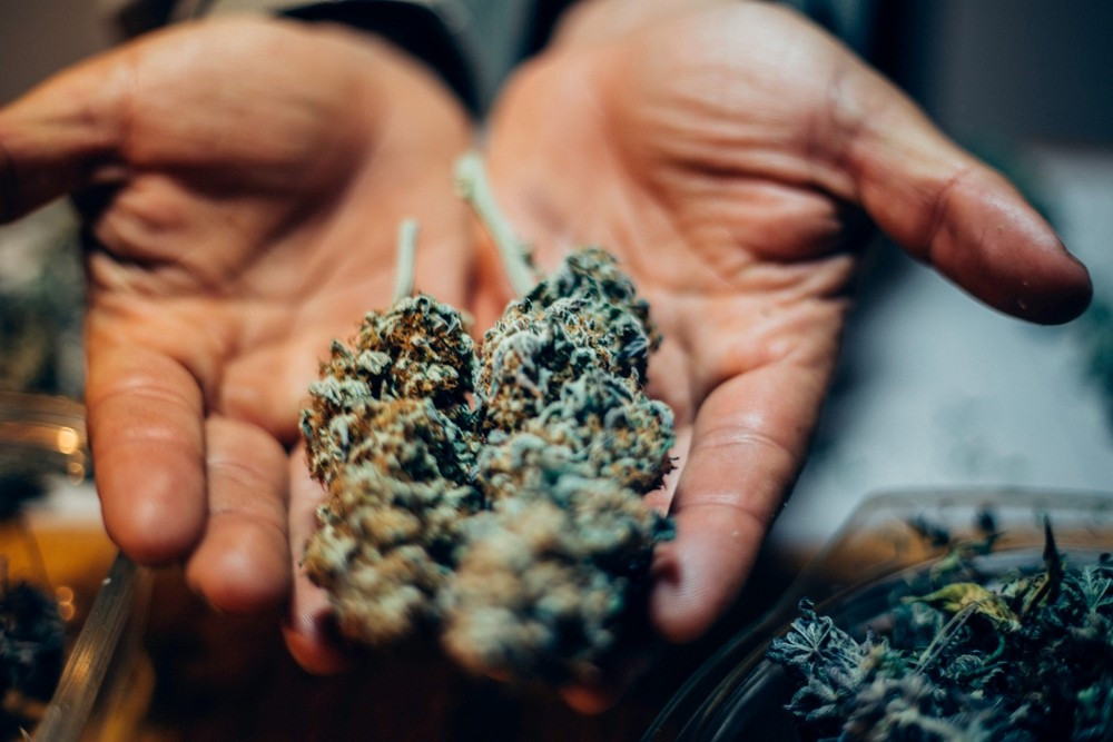 ¿Cómo fumar flores de CBD? ¡Te explicamos como hacerlo!