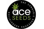 ACE SEEDS