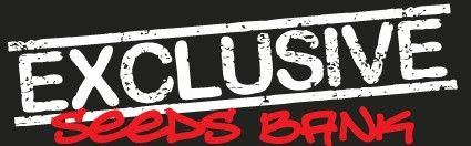 EXCLUSIVE SEEDS