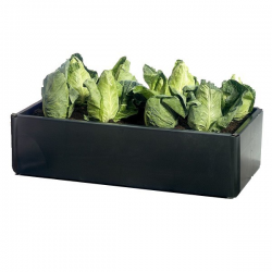 Grow Bed Mini 98x51x25cm 115LT (G108) GROW BED GROW BED