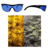 Gafas Lumii HPS