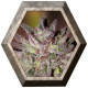 CBD Critical Cure 1 semilla Barney's Farm Seeds BARNEY´S FARM SEEDS  BARNEY´S FARM