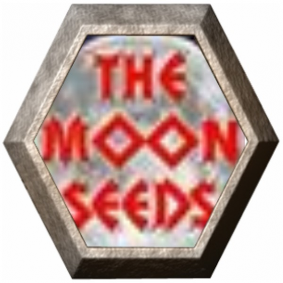 Moon Collection 1 6 semillas The Moon Seeds THE MOON SEEDS THE MOON SEEDS