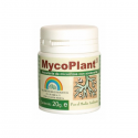 Mycoplant polvo (micorrizas) 20gr Trabe