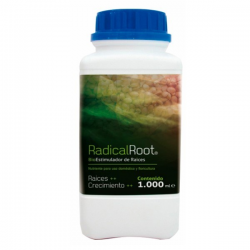 Radical Root 1lt Trabe  TRABE TRABE