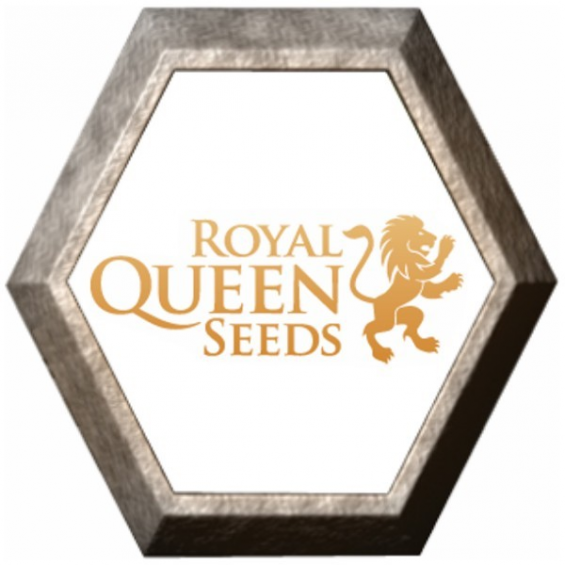 Feminized Mix 3 semillas Royal Queen Seeds ROYAL QUEEN SEEDS ROYAL QUEEN SEEDS