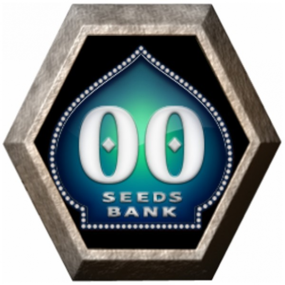 Femenized Mix 5 semillas 00 Seeds Bank 00 SEEDS BANK 00 SEEDS BANK