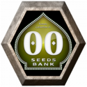 Femenized Collection 1 6 semillas 00 Seeds Bank