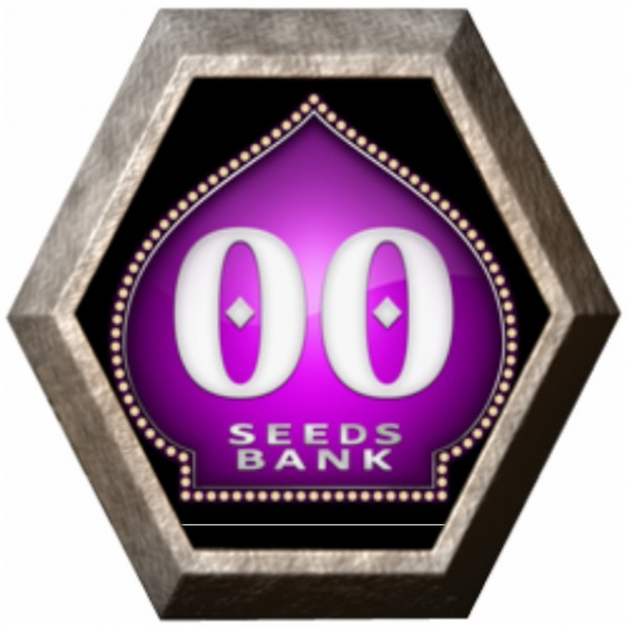 Automatik Mix 5 semillas 00 Seeds Bank 00 SEEDS BANK 00 SEEDS BANK