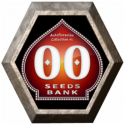 Automatik Collection 1 6 semillas 00 Seeds Bank
