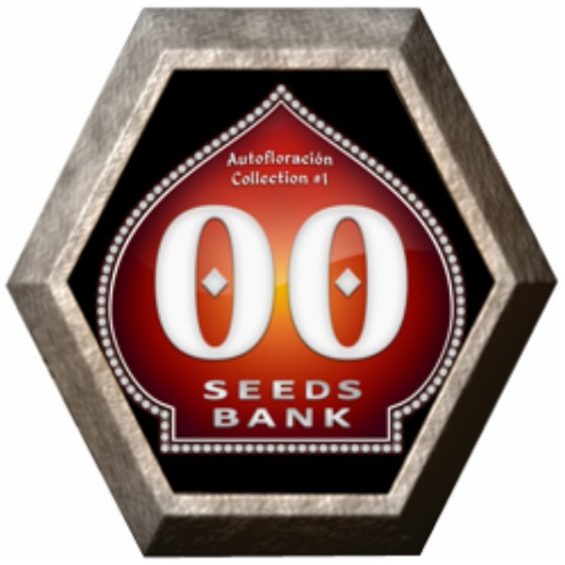 Automatik Collection 2 6 semillas 00 Seeds Bank 00 SEEDS BANK 00 SEEDS BANK