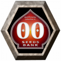 Automatik Collection 2 6 semillas 00 Seeds Bank