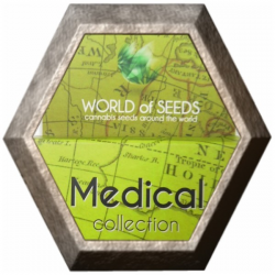 Medical Collection 8 semillas World os Seeds  WORLD OF SEEDS