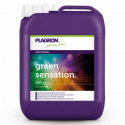 Green Sensation 5LT Plagron 