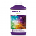 Green Sensation 1lt Plagron 