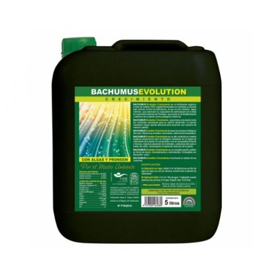 Bachumus Evolution C 5lt Trabe  TRABE TRABE