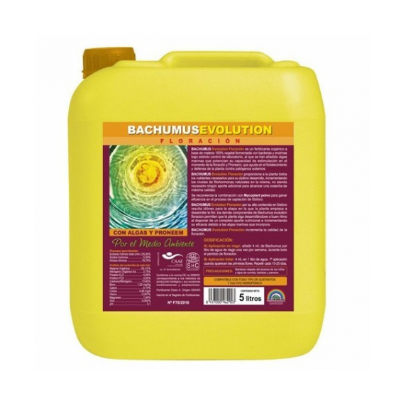 Bachumus Evolution F 5lt Trabe  TRABE TRABE