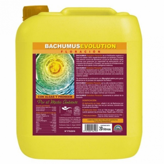 Bachumus Evolution F 20lt Trabe  TRABE TRABE