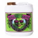 Big Bud 10LT Advanced Nutrients