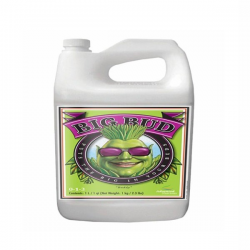 Big Bud 1LT Advanced Nutrients ADVANCED NUTRIENTS ADVANCED NUTRIENTS