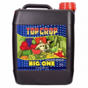 Big one 5lt Top crop