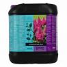 Blossom Builder Liquid 5lt Bcuzz