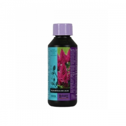 Blossom Builder Liquid 100ml Bcuzz BCUZZ B´CUZZ