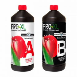 Bloom A&B 1l Pro-XL PRO-XL PRO-XL