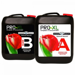 Bloom A&B 10l Pro-XL PRO-XL PRO-XL