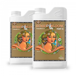 Sensi Bloom Coco A&B PH Perfect 1lt Advanced Nutrients ADVANCED NUTRIENTS ADVANCED NUTRIENTS