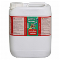 Grow Bloom Excellarator 5LT Advanced hydroponics